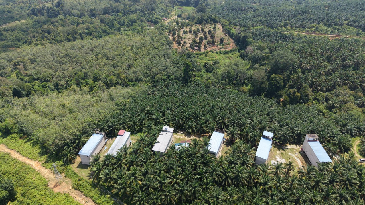 1 Acres Swallow Bird House Kechau Kuala Lipis - photo 11