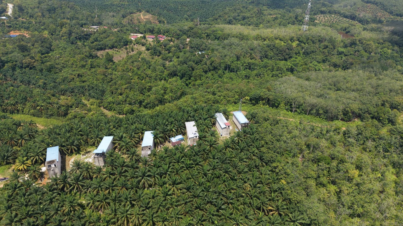 1 Acres Swallow Bird House Kechau Kuala Lipis - photo 12