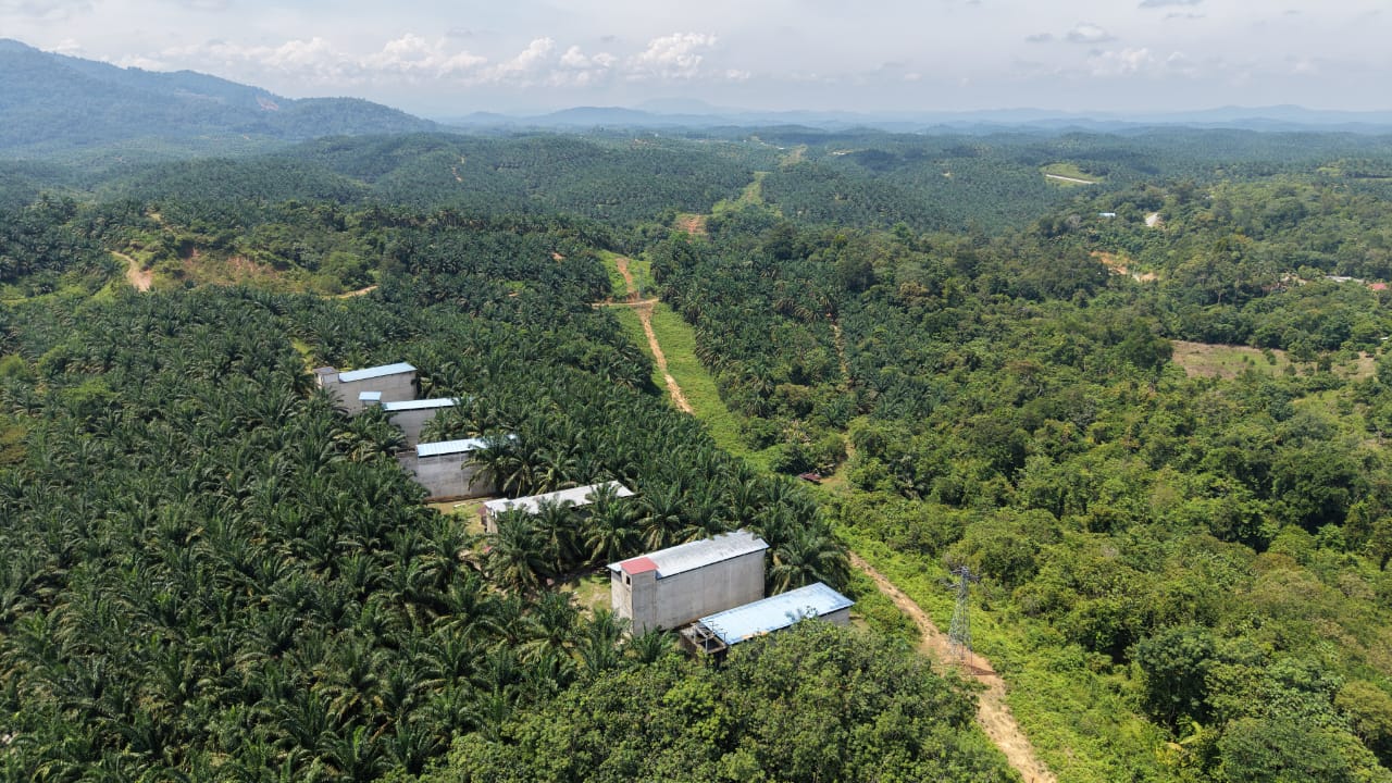 1 Acres Swallow Bird House Kechau Kuala Lipis - photo 13