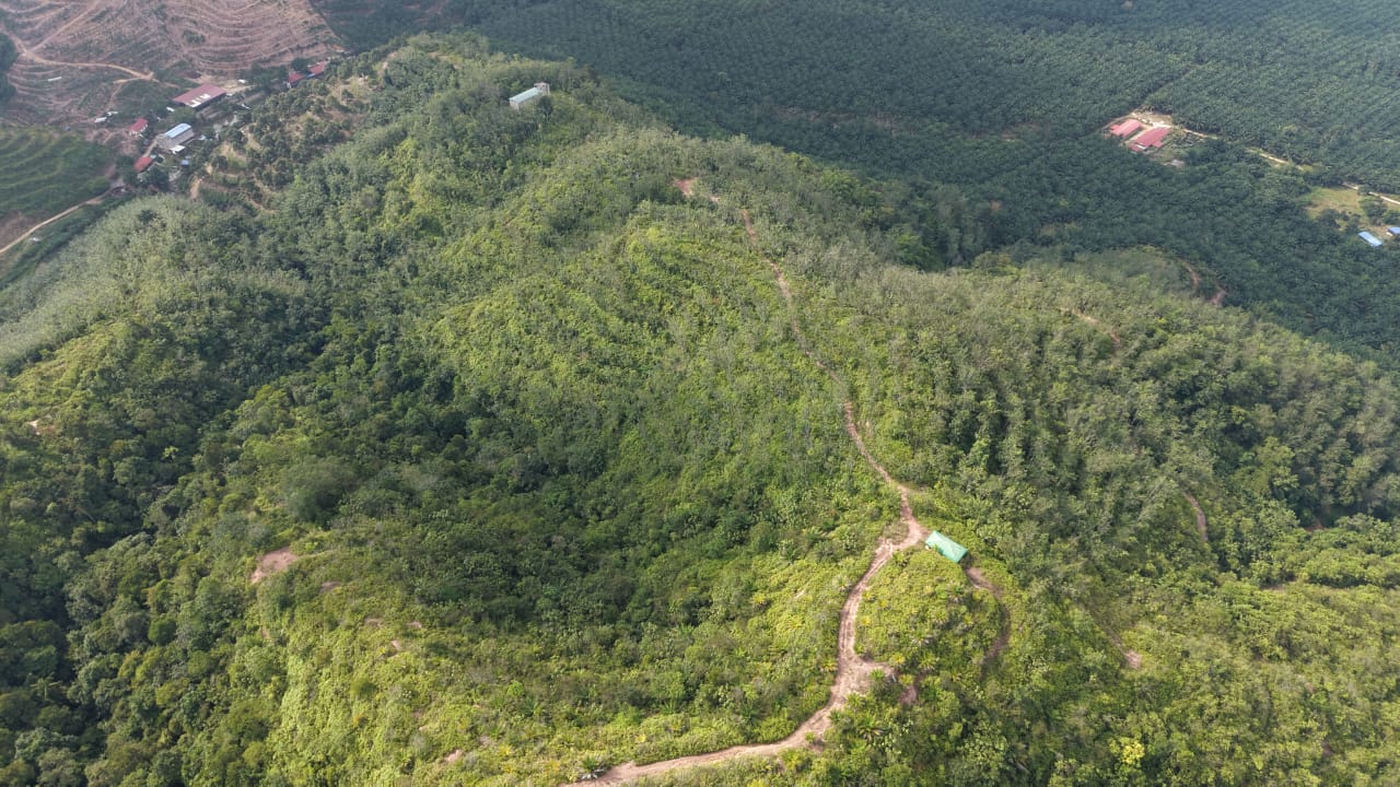 28 Acres Agriculture Land Lurah Bilut Hills Raub - photo 2