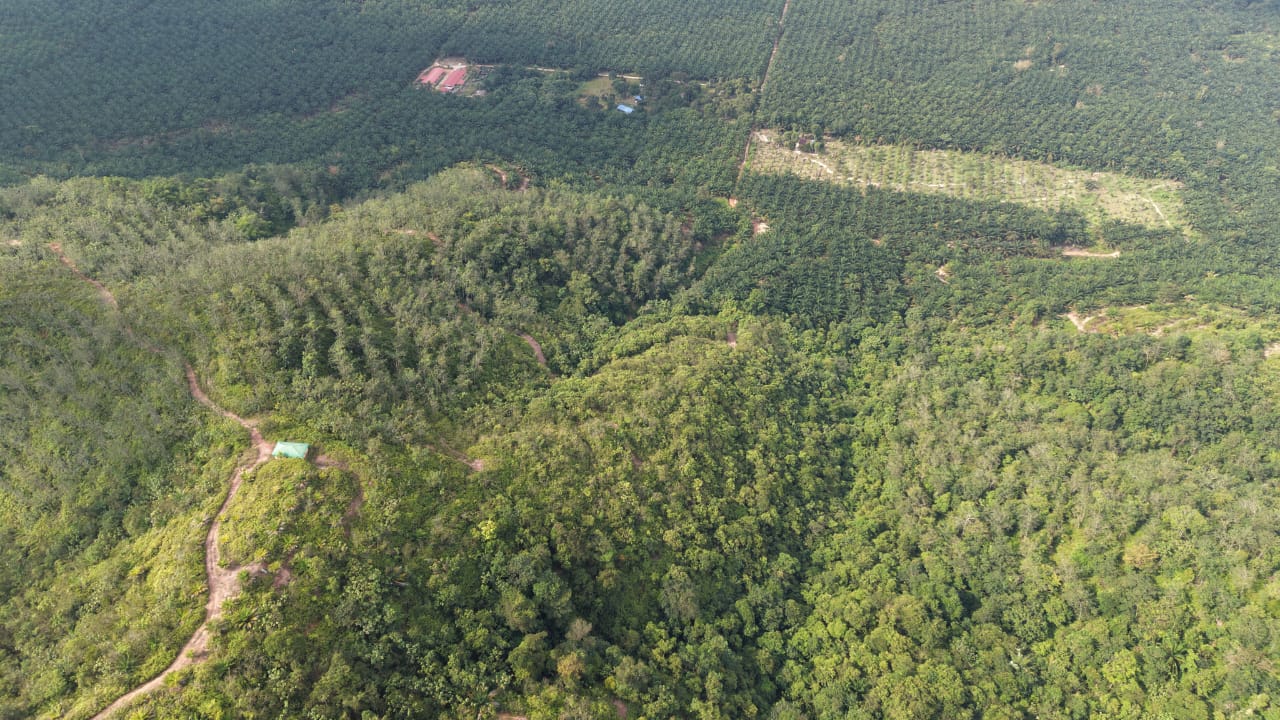 28 Acres Agriculture Land Lurah Bilut Hills Raub - photo 3