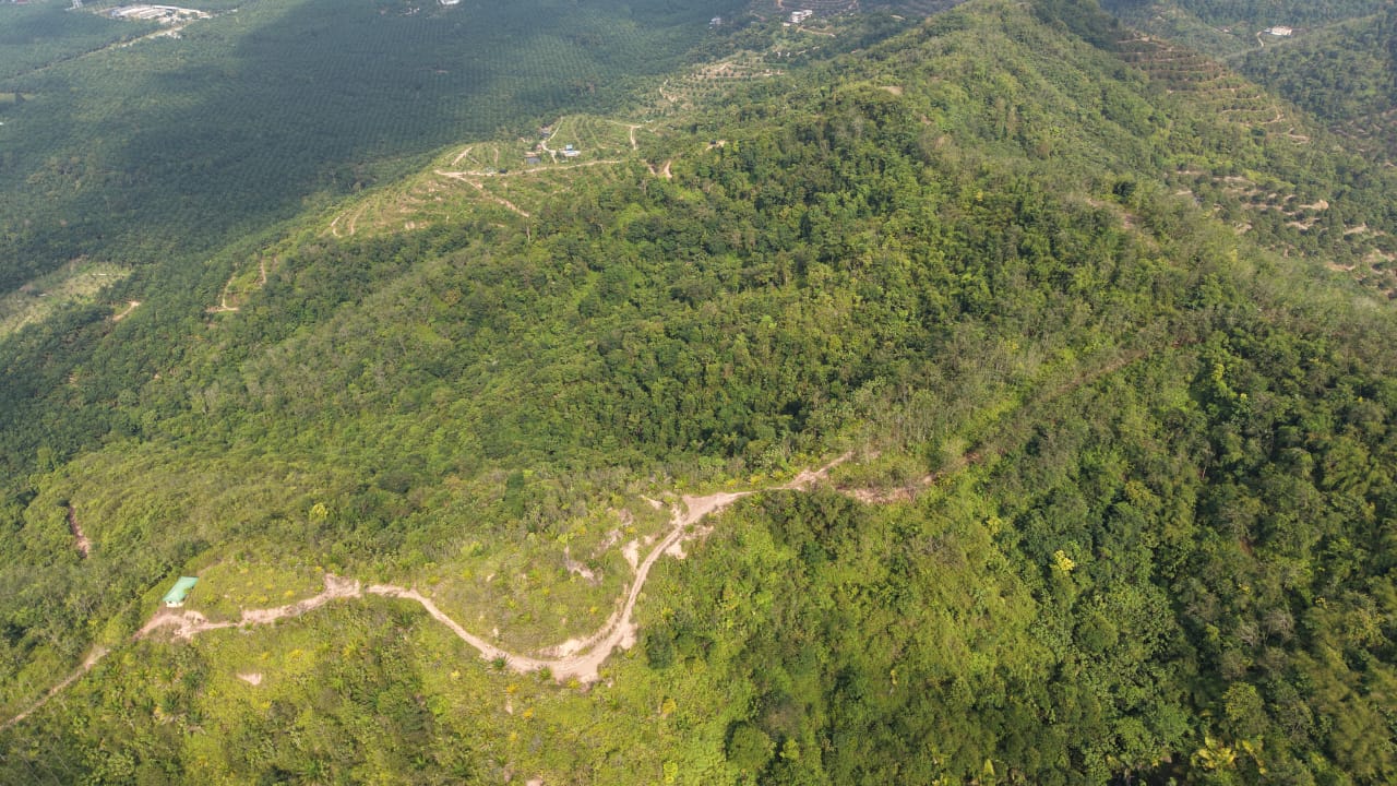 28 Acres Agriculture Land Lurah Bilut Hills Raub - photo 4