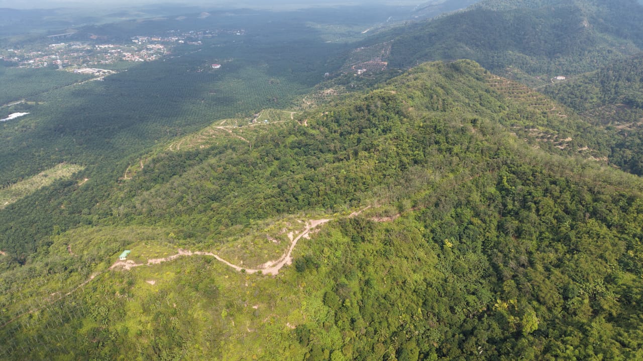 28 Acres Agriculture Land Lurah Bilut Hills Raub - photo 5