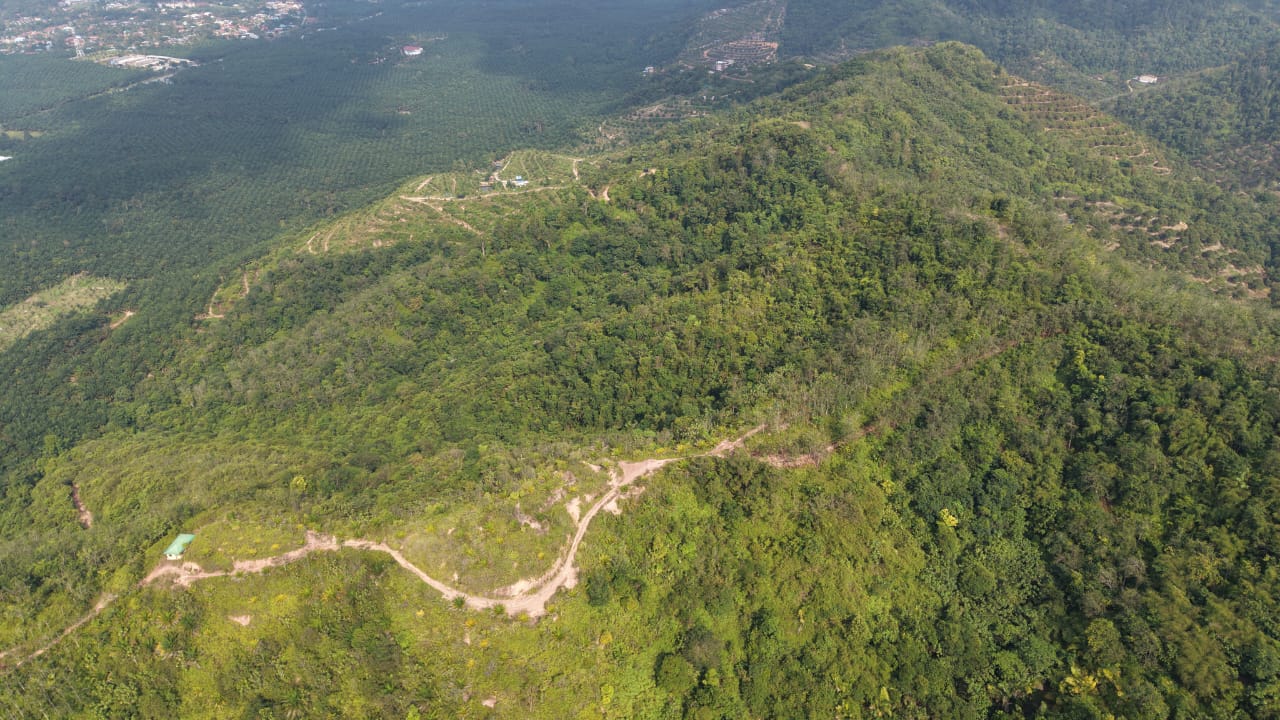 28 Acres Agriculture Land Lurah Bilut Hills Raub - photo 6
