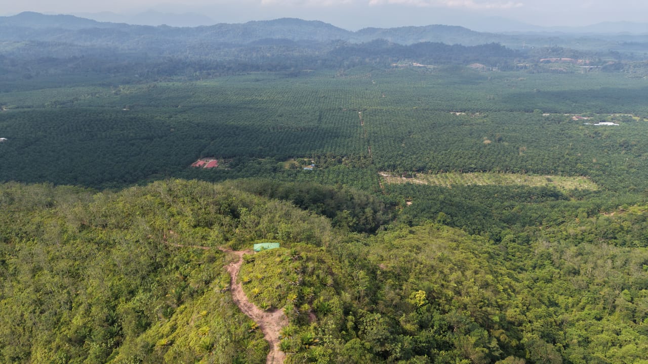 28 Acres Agriculture Land Lurah Bilut Hills Raub - photo 7