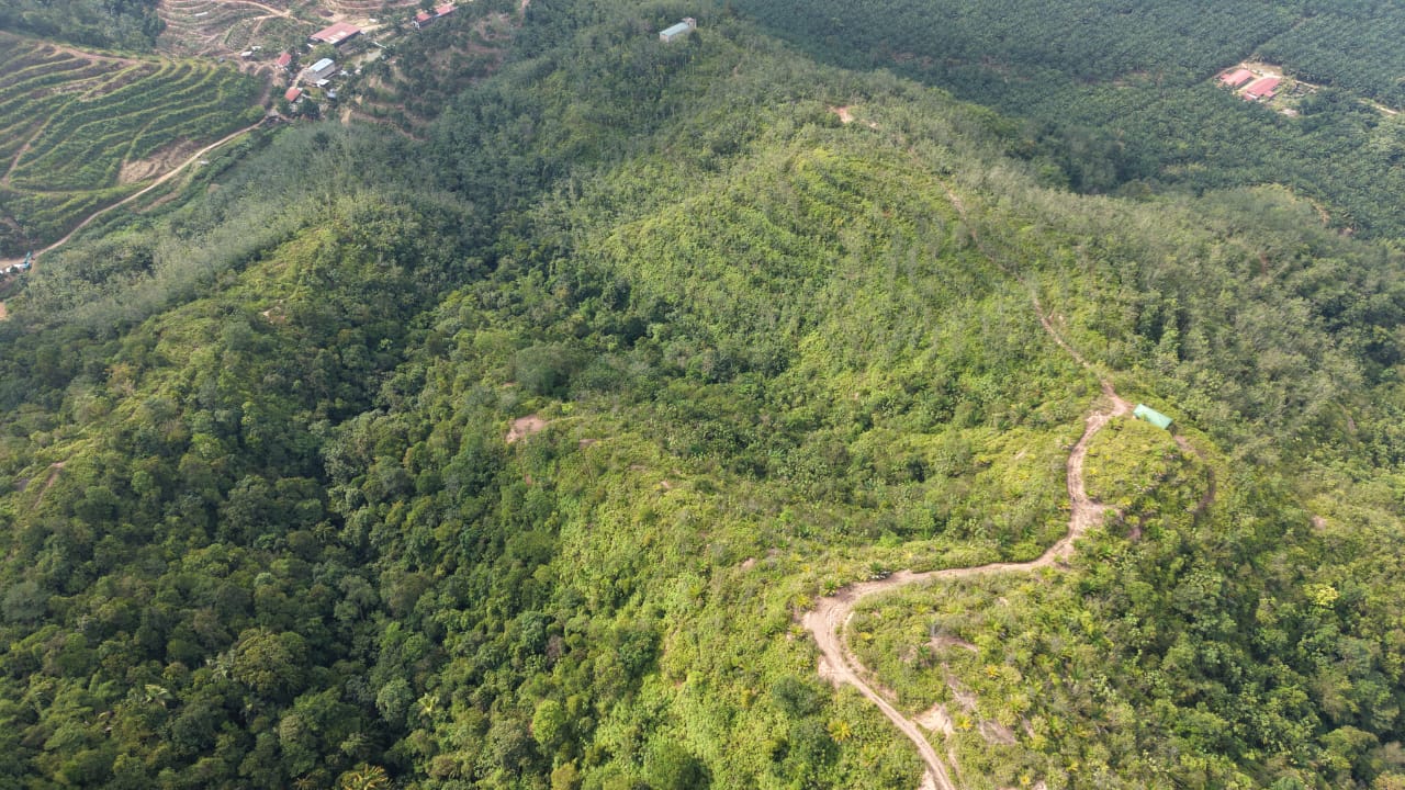 28 Acres Agriculture Land Lurah Bilut Hills Raub - photo 8