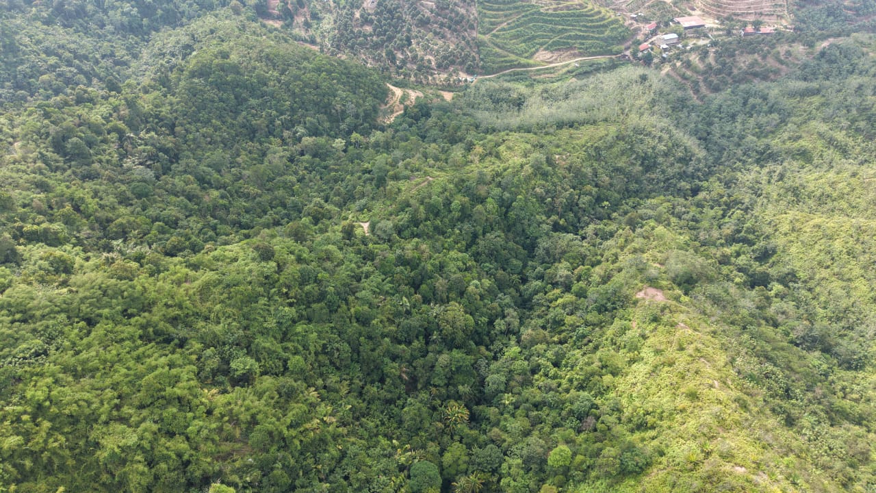 28 Acres Agriculture Land Lurah Bilut Hills Raub - photo 9