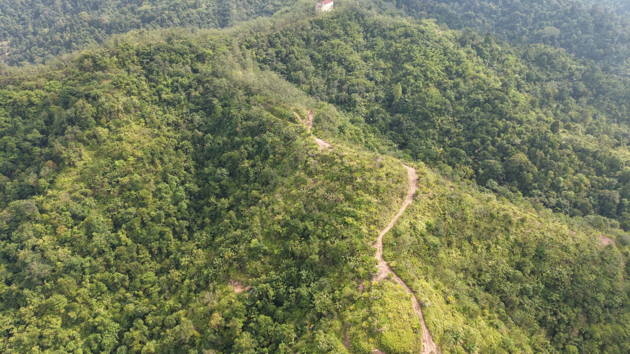 28 Acres Agriculture Land Lurah Bilut Hills Raub - photo 10