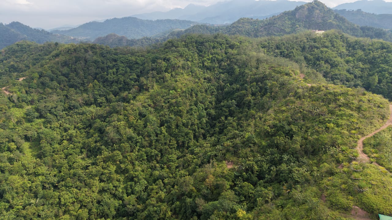 28 Acres Agriculture Land Lurah Bilut Hills Raub - photo 11