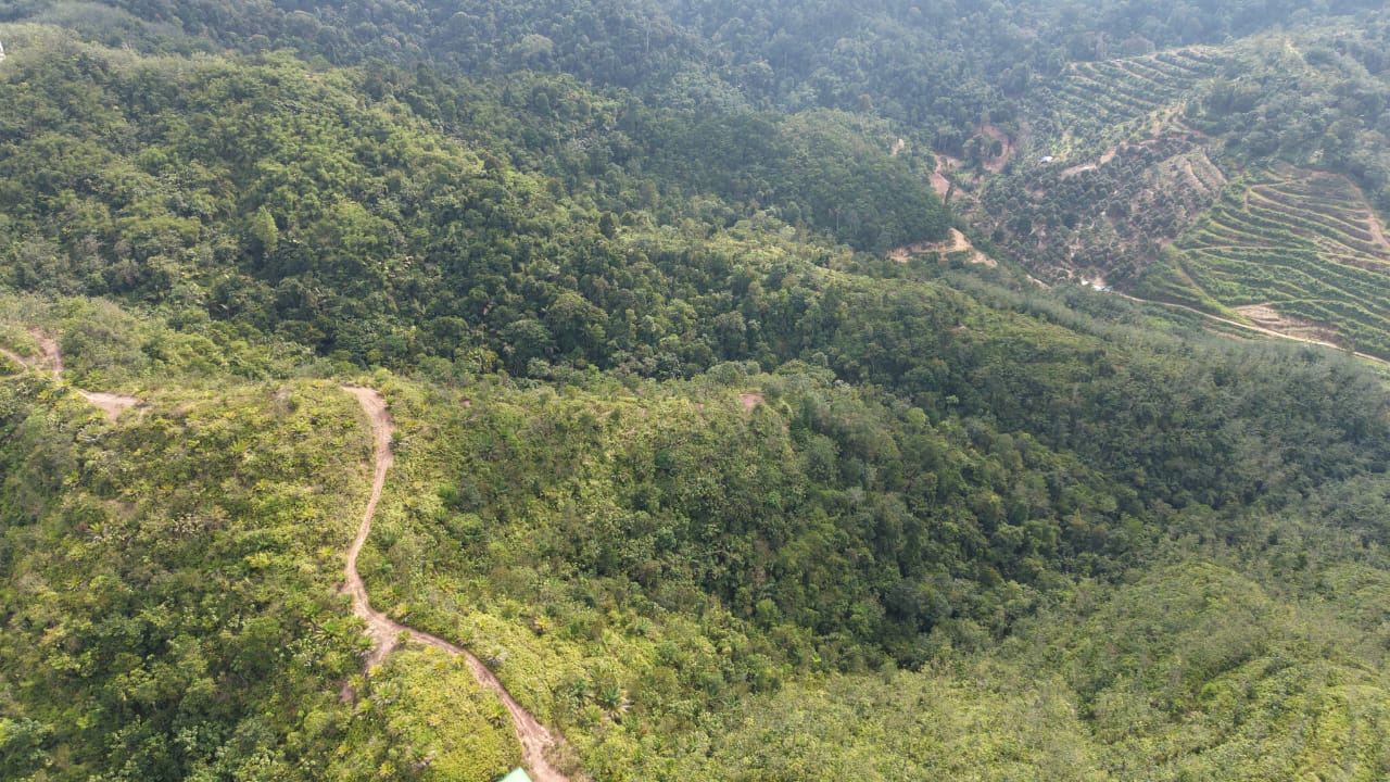 28 Acres Agriculture Land Lurah Bilut Hills Raub - photo 12