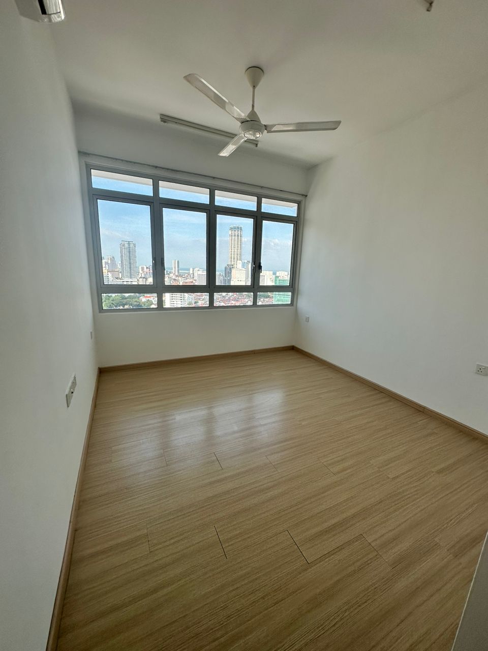 Sandilands Jelutong - photo 3