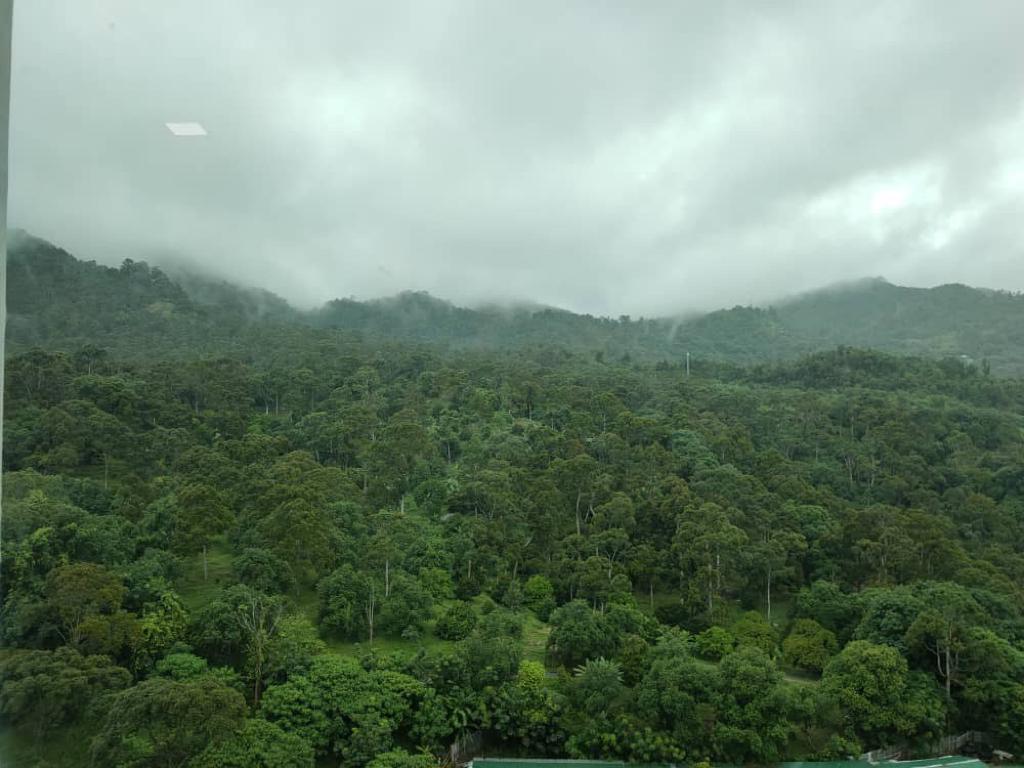 Setia Pinnacle - photo 3