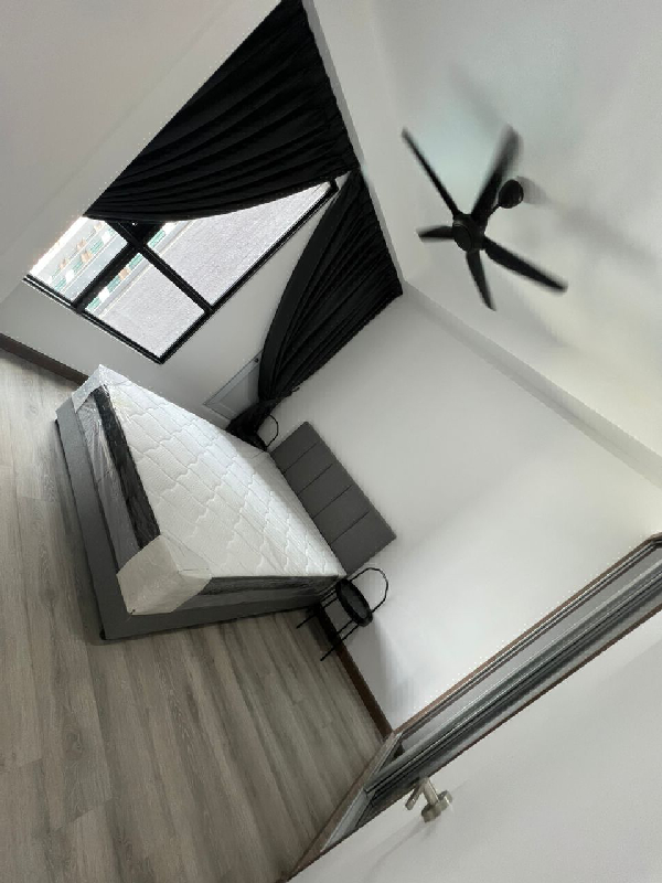 Cubic Botanical - photo 4