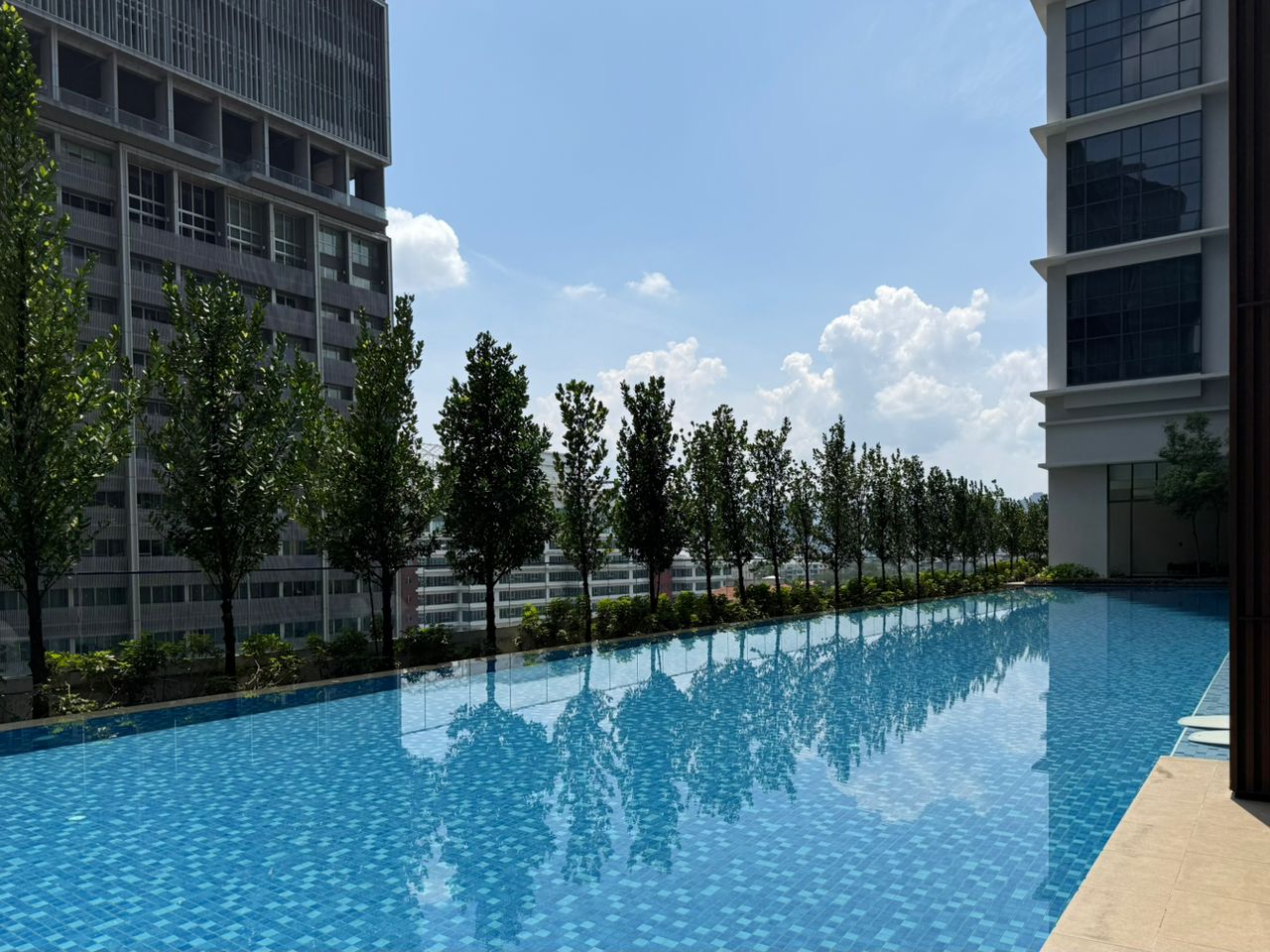 Aria ARIA005 - photo 7