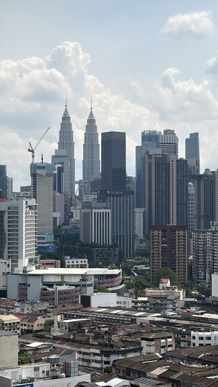 Skyline Pudu SKYPD051 - photo 4