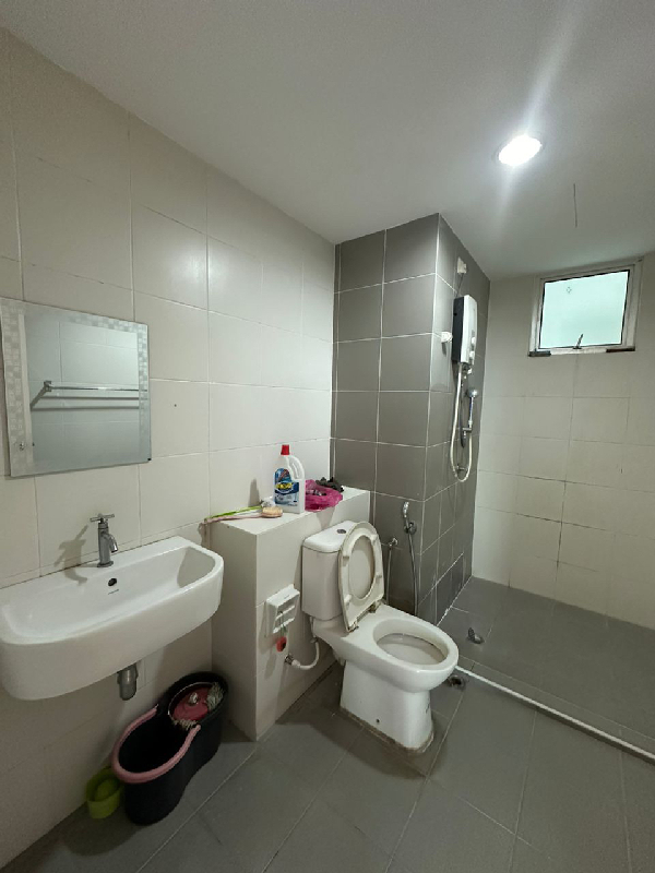 Elit Shing  - photo 3