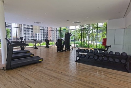 Mira Shorea Park Puchong - photo 8