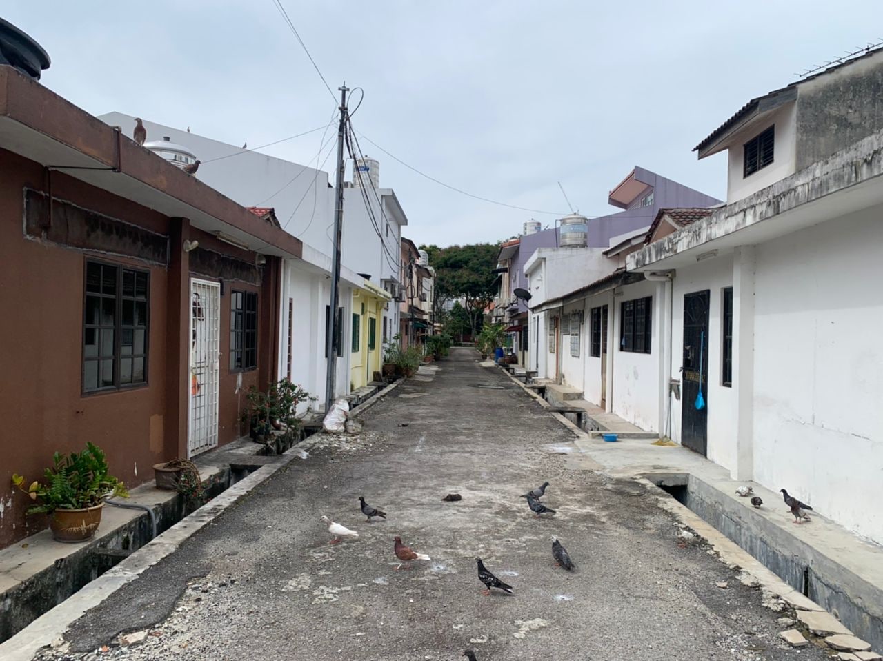Renovated Single Storey Terrace Taman Setapak - photo 6