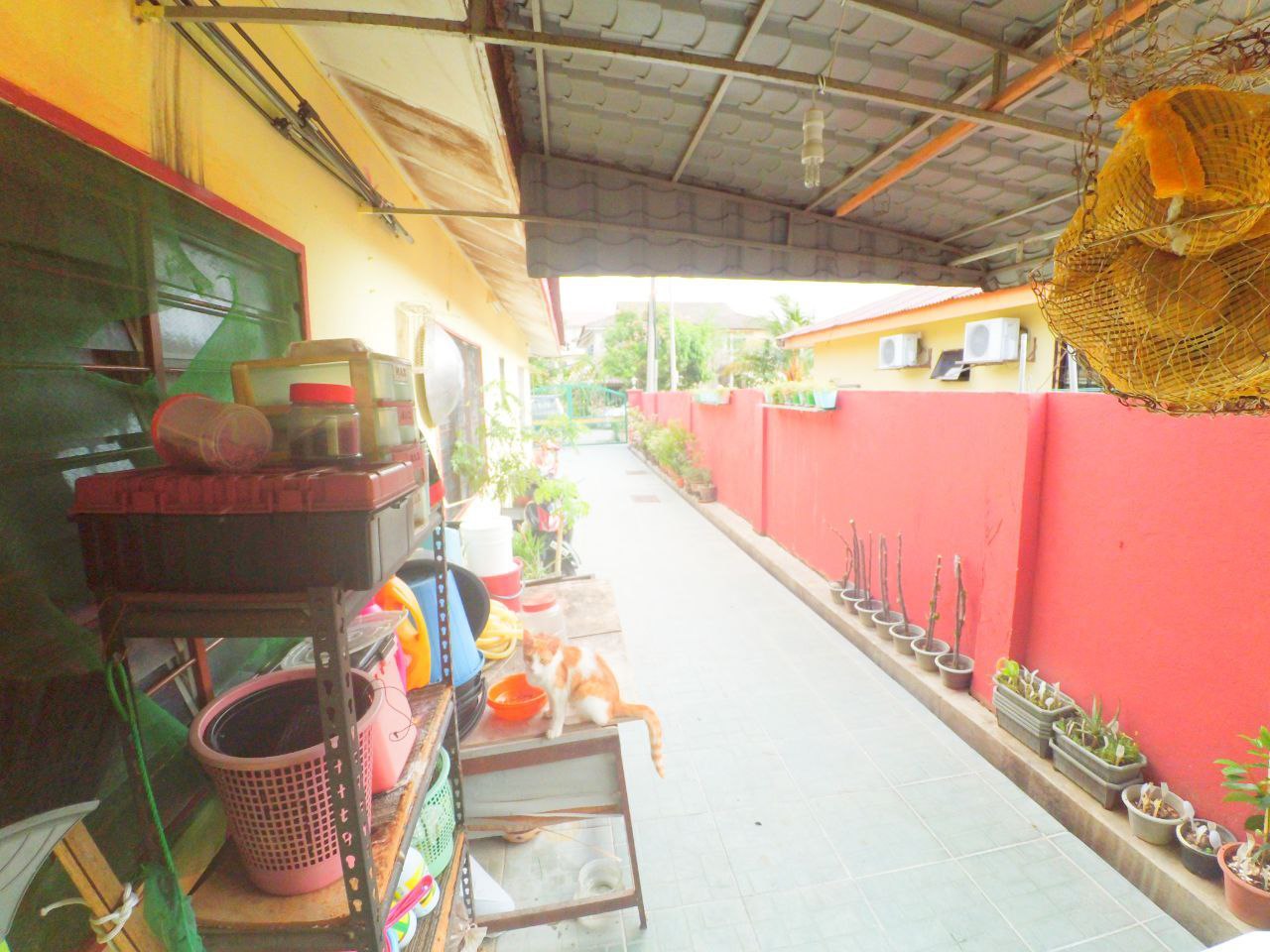 Single Storey Semi D Taman Selayang Mutiara - photo 4