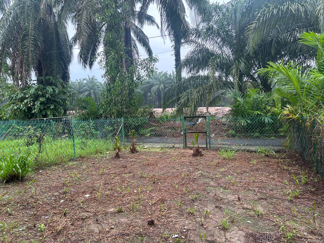 Double Storey Terrace Taman Warisan Hijauan - photo 6