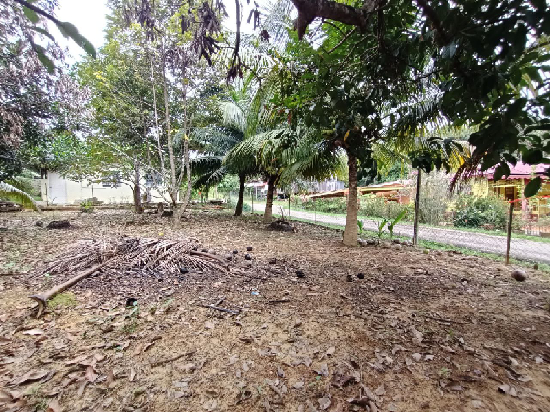 Tanah dan Rumah untuk dijual di Sanggang Temerloh  - photo 12