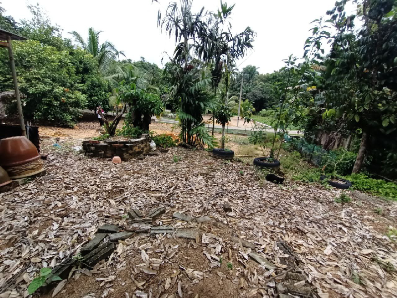 Tanah dan Rumah untuk dijual di Sanggang Temerloh  - photo 13
