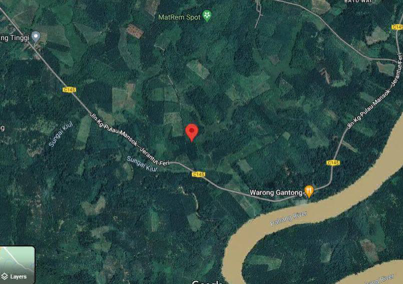TANAH SAWIT UNTUK DIJUAL DI MUKIM TEBING TINGGI JERANTUT - photo 8