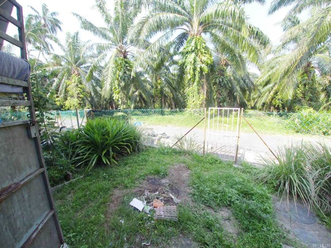 Taman Cemara Kelanang Banting - photo 3
